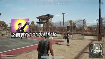 鸡鸭恋在线观看,跨越物种的爱情奇缘  第3张