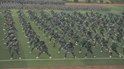 最新军训爆料新闻视频,揭秘严酷训练背后的青春故事  第1张